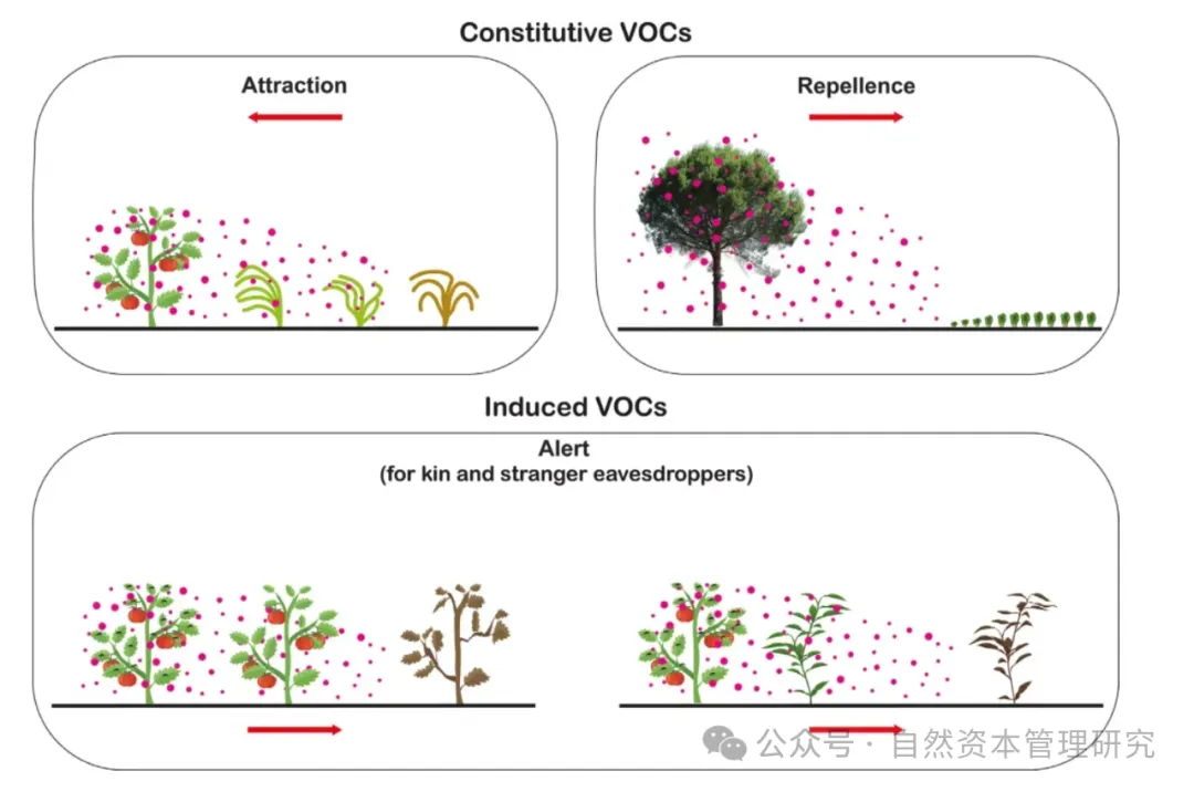 VOCs