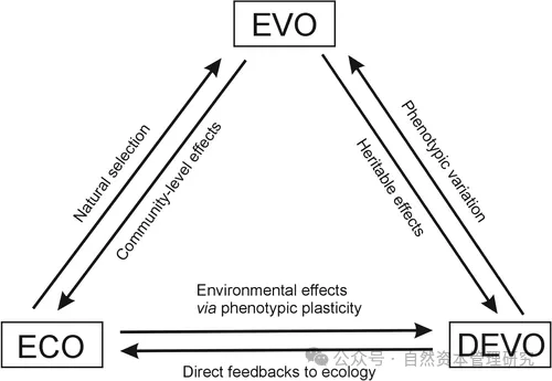 eco-evo-4